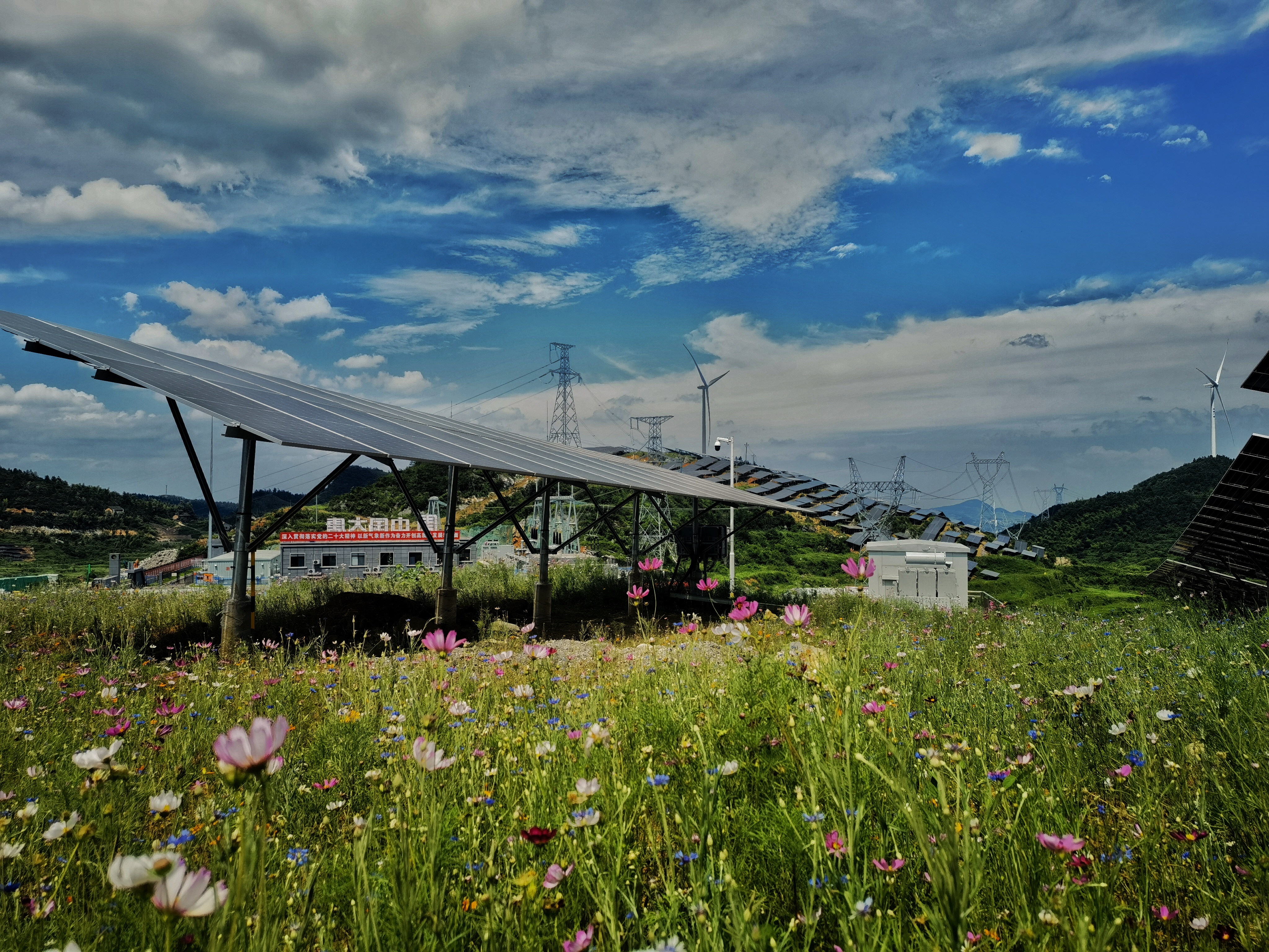 1718763171564052910.jpg 5.jpg