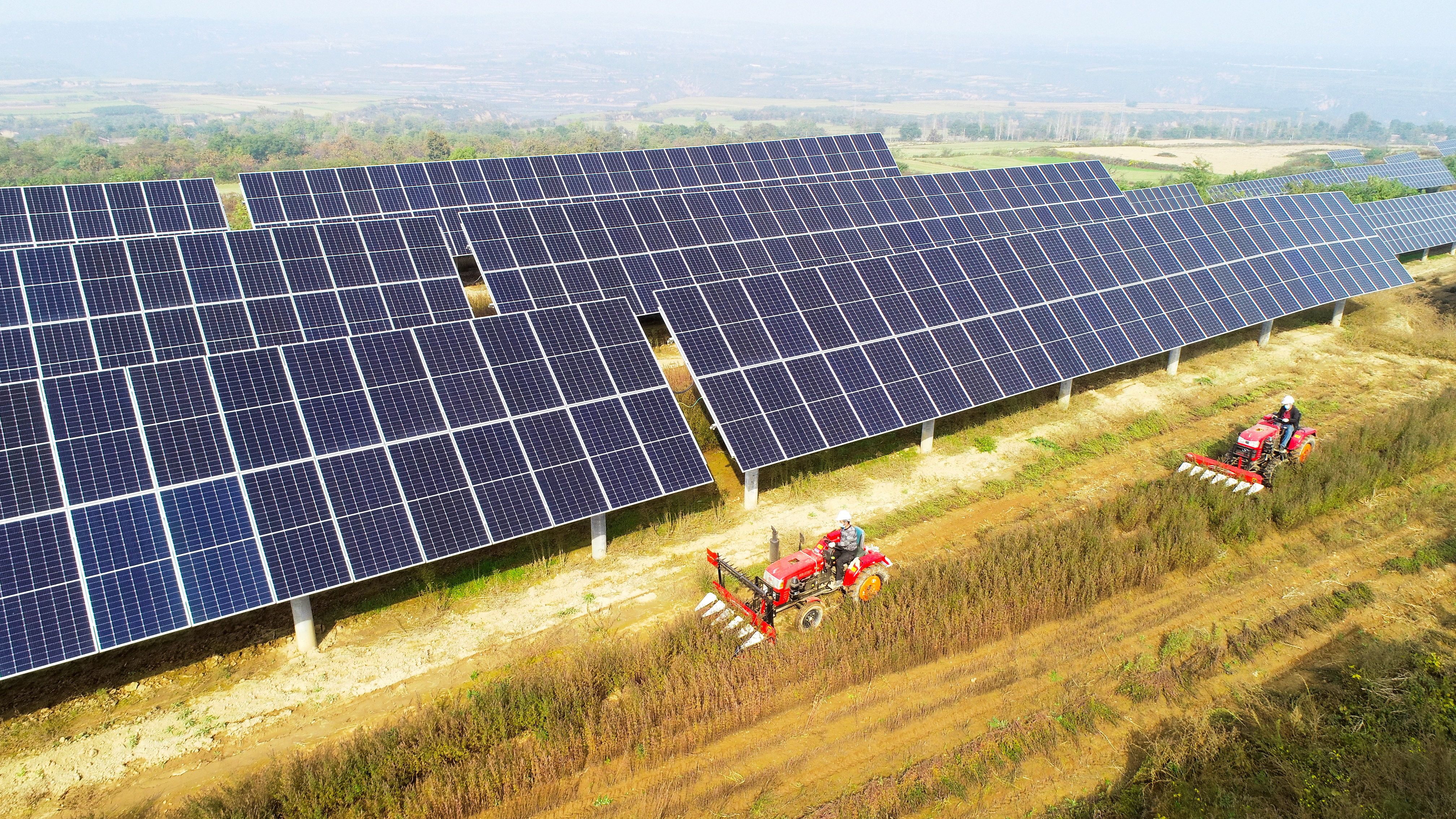 1720579342585030921.jpg 图3.银河
西安热电厂永寿高庙山光伏电站进行中草药收割工作,实现惠农共赢.jpg